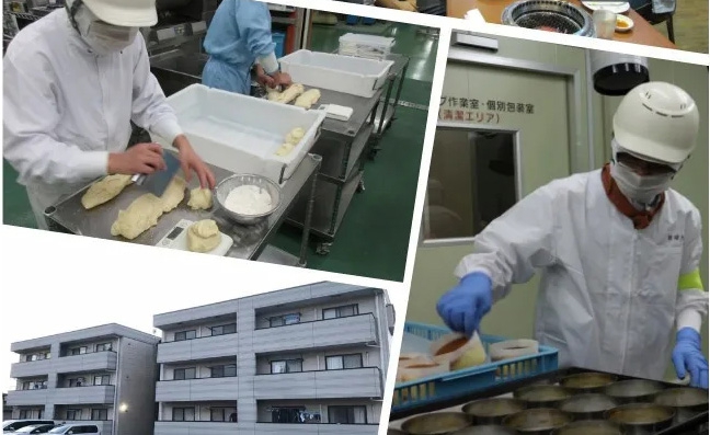 日本2020年8月新單匯總！