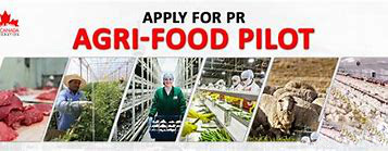 1596505951113456.jpg 3.jpg